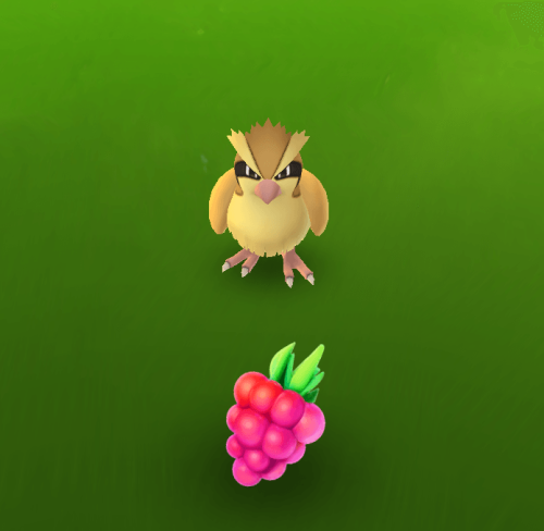 Pokemon Go Berries Golden Razz Bluk Nanab Pinap And Wepar Berry