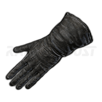 Preceptor's Gloves-image
