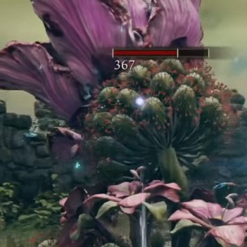Elden Ring Giant Poison Flower Locations | Where To Find & Drops