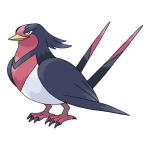 Taillow Evolve