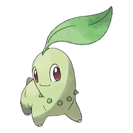 Chikorita