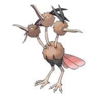 Dodrio