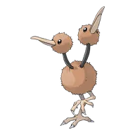 Doduo