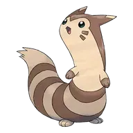 Furret