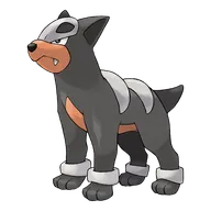 Houndour