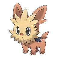 Lillipup