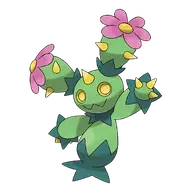 Maractus