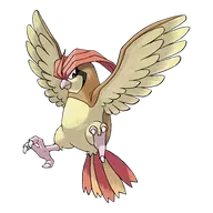 Pidgeotto