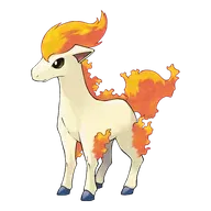 Ponyta