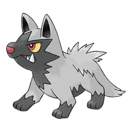 Poochyena