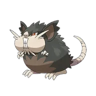 Raticate-Alola