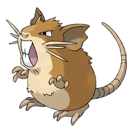 Raticate