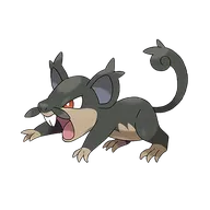 Rattata-Alola