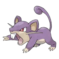 Rattata