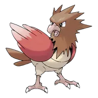 Spearow