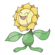 Sunflora