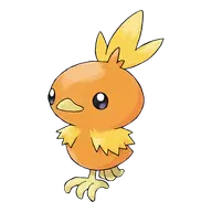 Torchic