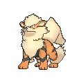 Arcanine