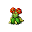 Bellossom