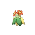 Bellossom