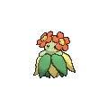 Bellossom