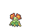 Bellossom