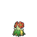 Bellossom