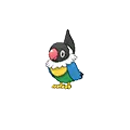 Chatot - Pokemon Omega Ruby & Alpha Sapphire