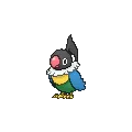 Chatot - Pokemon X & Y