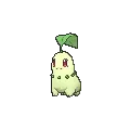 Chikorita