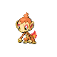 Chimchar