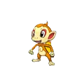 Chimchar