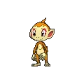 Chimchar