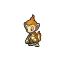 Chimchar