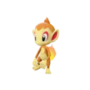 Chimchar
