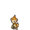 Chimchar