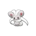 Cinccino