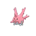 Corsola