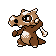 Cubone