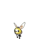 Cutiefly