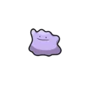 Ditto