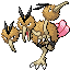 Dodrio