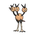 Dodrio