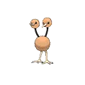 Doduo