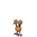 Doduo