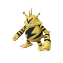 Electabuzz