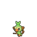 Grookey