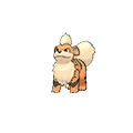 Growlithe