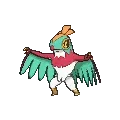 Hawlucha - Pokemon X & Y