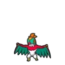 Hawlucha